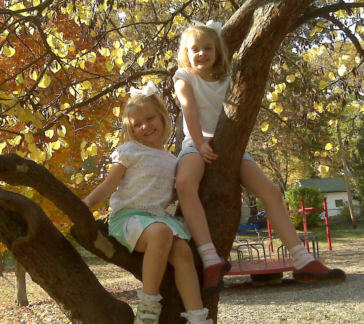2008_11_02 CnJ redbud climbing at Margaret Park.jpg
